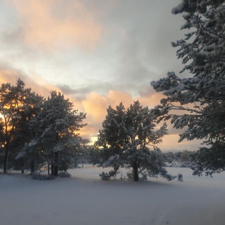 Solvang Camping Og Leirsted Alta Exteriör bild