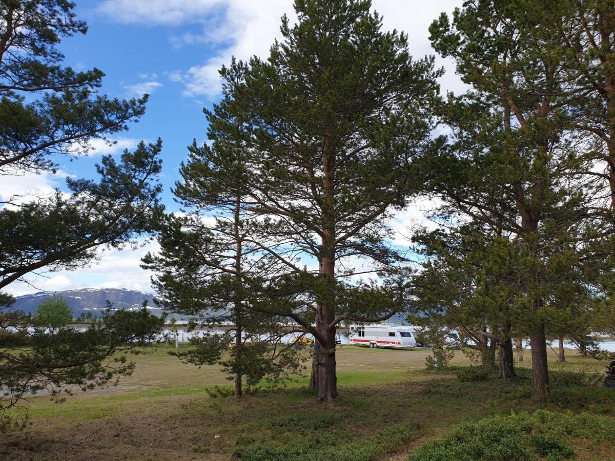 Solvang Camping Og Leirsted Alta Exteriör bild